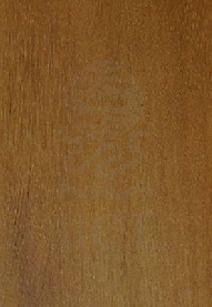 blond-2796.jpg